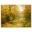 Road in Yellow Woodlands - Peinture sur toile-59758260-59787058