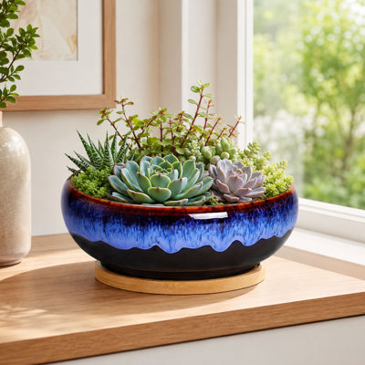 Pot de fleurs rond en céramique de 20 cm pour plantes succulentes avec plateau en bambou