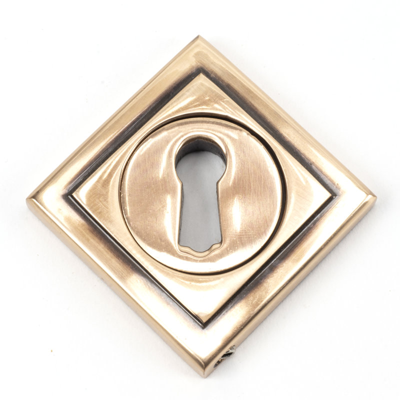 Escutcheon Door Accessory, Polished Bronze