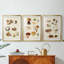 Champignon I - impression encadrée sur mesure de qualité supérieure mate - 3 pièces-657607771