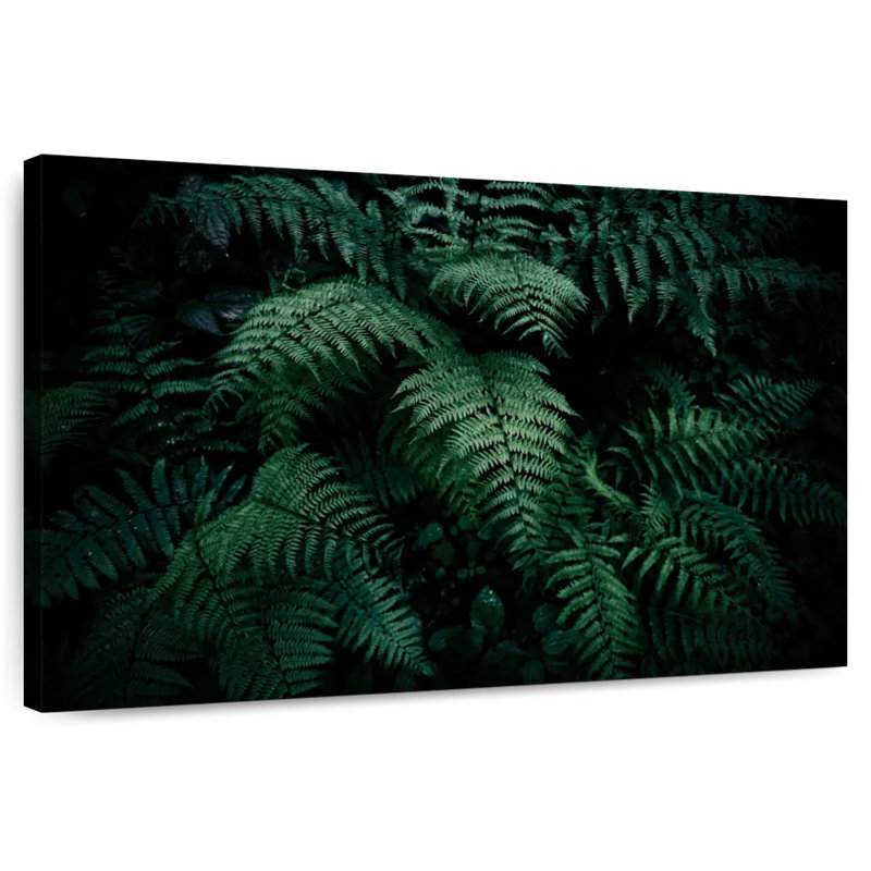 Harnek Verdant Ferns, H 8 po x l 12 po