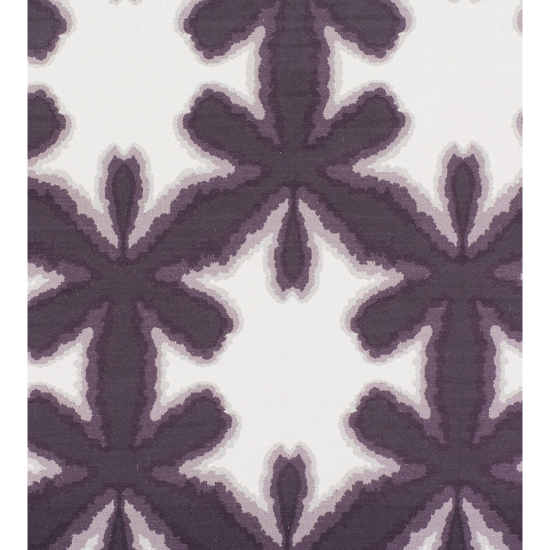 Tissu misterioso, Prune