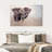 Brampt Young Savanna Elephant-108697085