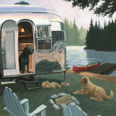 Camp canin