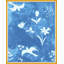 Fleur D' Oiseaux Print by Paule Marrot-798411184-798411185