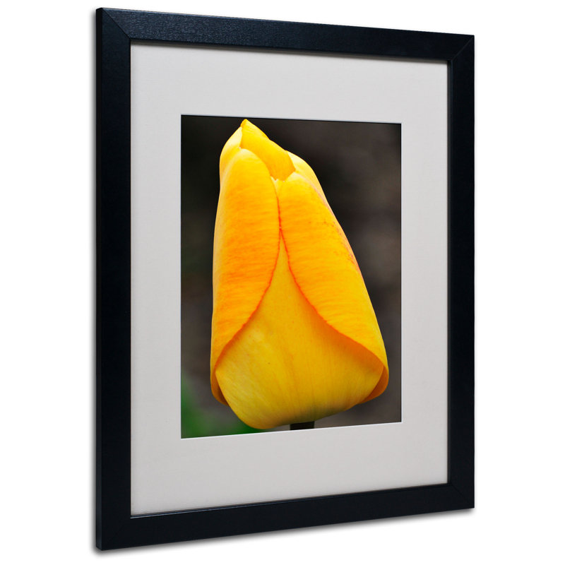 Perfect Yellow Tulip Matte Framed Canvas Print, 20 x 16 inches