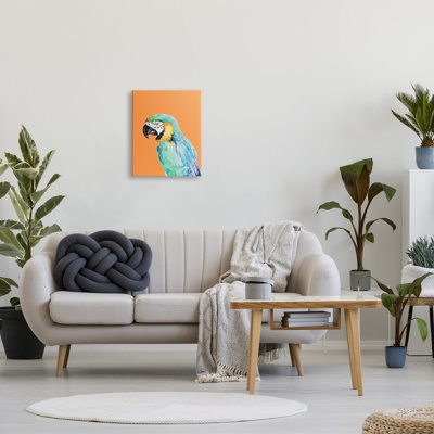 Perroquet aras tropical