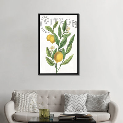 " Classic Citrus V " by Sue Schlabach