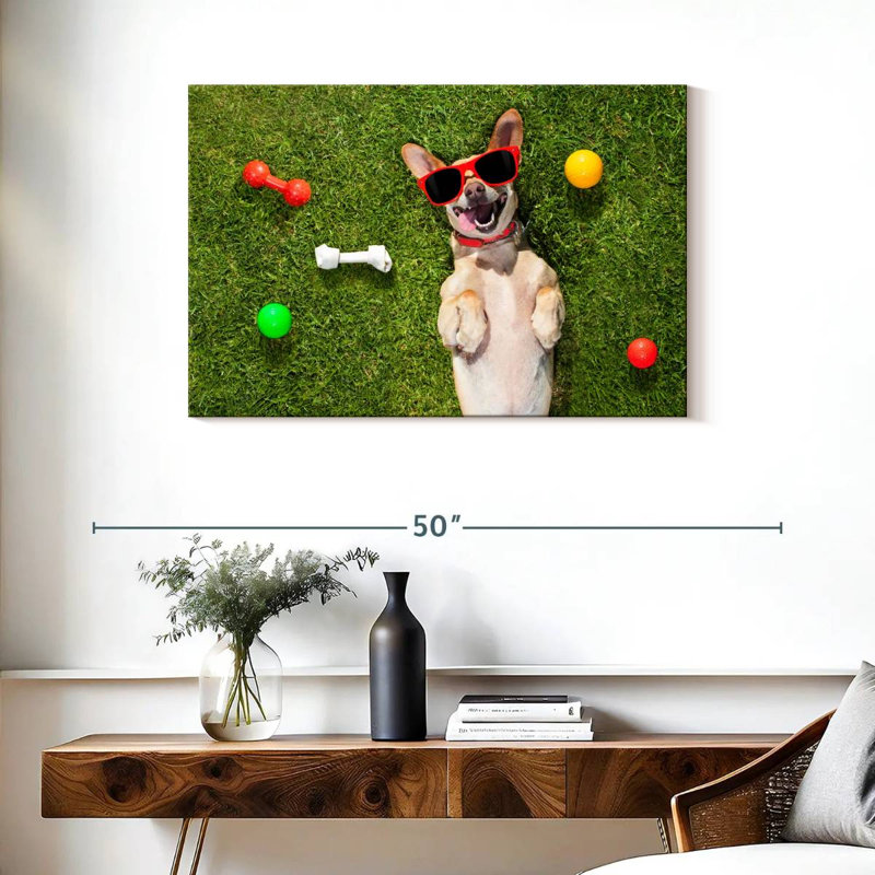 Ketti terrier chihuahua amusant, H 24 po x l 36 po
