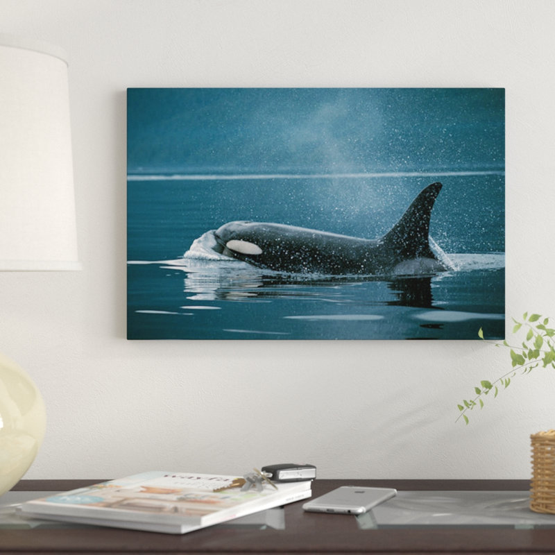 « orca, johnstone, détroit, colombie britannique, canada », reproduction de photo sur toile, H 18 po x l 26 po x P 1,5 po