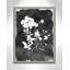 «Black Botanical II» par Carol Robinson - reproduction de photo sur papier encadrée-59853204-59853203