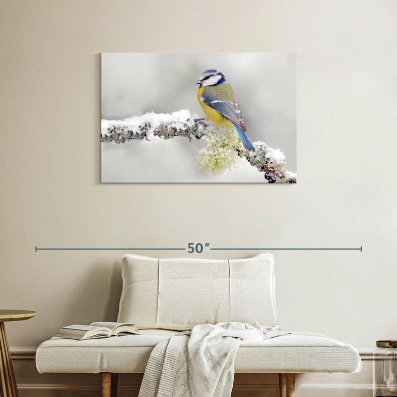 Crowle Blue Tit Songbird