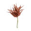 Fern Bundle (Set of 2)-214120561