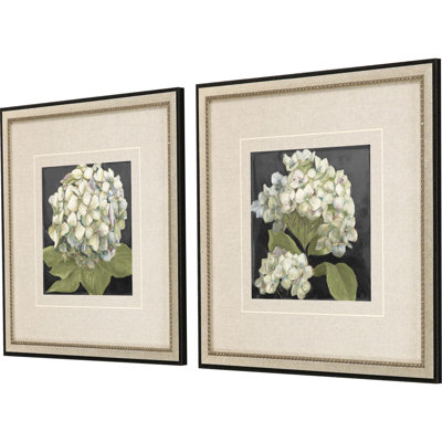 Hydrangeas on Black S/2