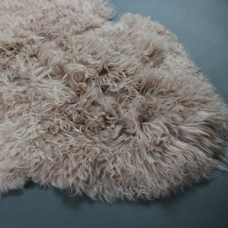 Ennis Novelty 60 cm x 90 cm Sheepskin Area Rug