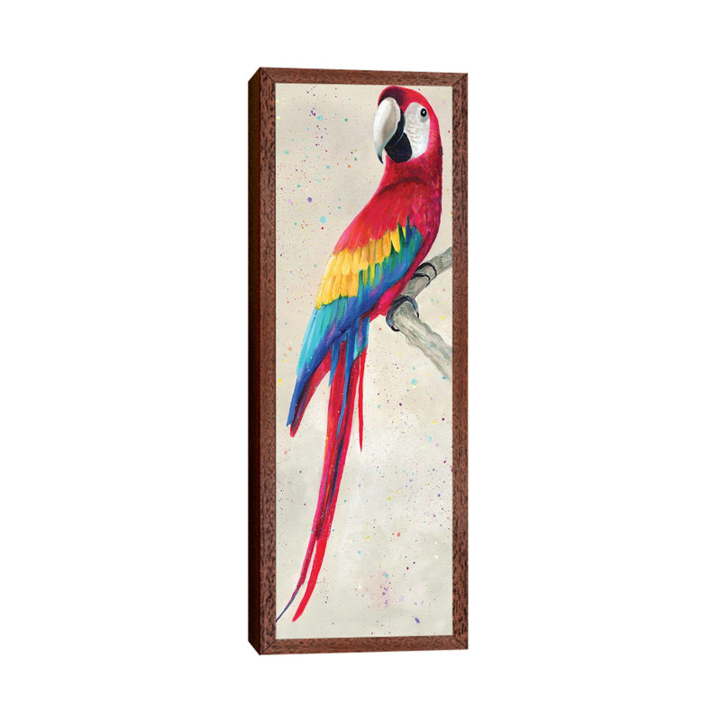 Parrot by Kim Haskins - Panoramic Print on Canvas, 121.92 cm H x 40.64 cm W, Classic Brown Wood Framed