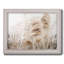 Douce brise de pampa, photographie sur toile-767987942
