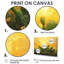 Cactus dans la lumière dorée III - cactus, art mural-355147137-355147143-355147163