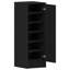6 Pair Shoe Storage Cabinet