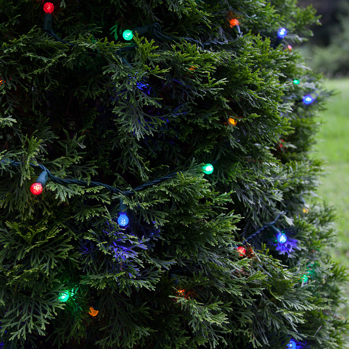 70-Light LED Mini Globe String Lights, Multicolor