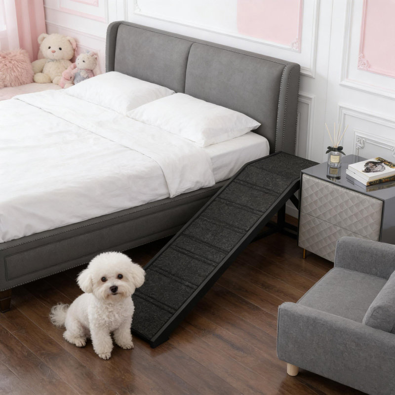 Rampe noire, rampe pour animaux de compagnie