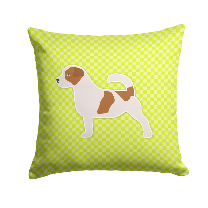 Coussin décoratif intérieur/extérieur jack, H 14 po x l 14 po x P 3 po, Vert