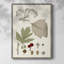 Feuilles et baies II, reproduction encadrée - bois massif-875603240