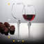 18 oz. Neelyville Verre à vin blanc-526897109-505909259