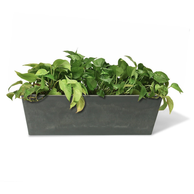 Valencia Composite Planter Box, Light Charcoal, 7.5" H x  20" W x 6.5" D