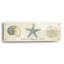 «Beach Treasures 7» par Emily Adams, art mural en verre-1759143984