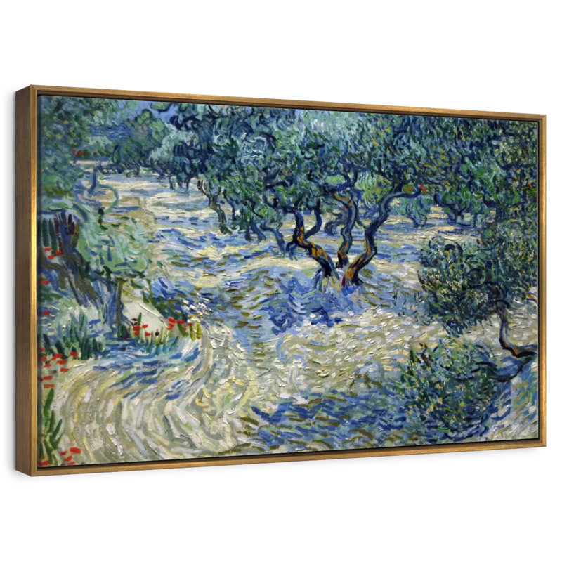 Olive Orchard 1889, 25 po x 17 po, Cadre flottant doré