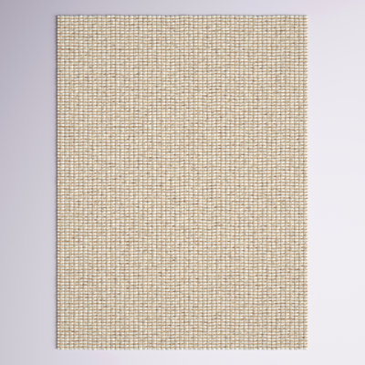 Striped Indoor Rug
