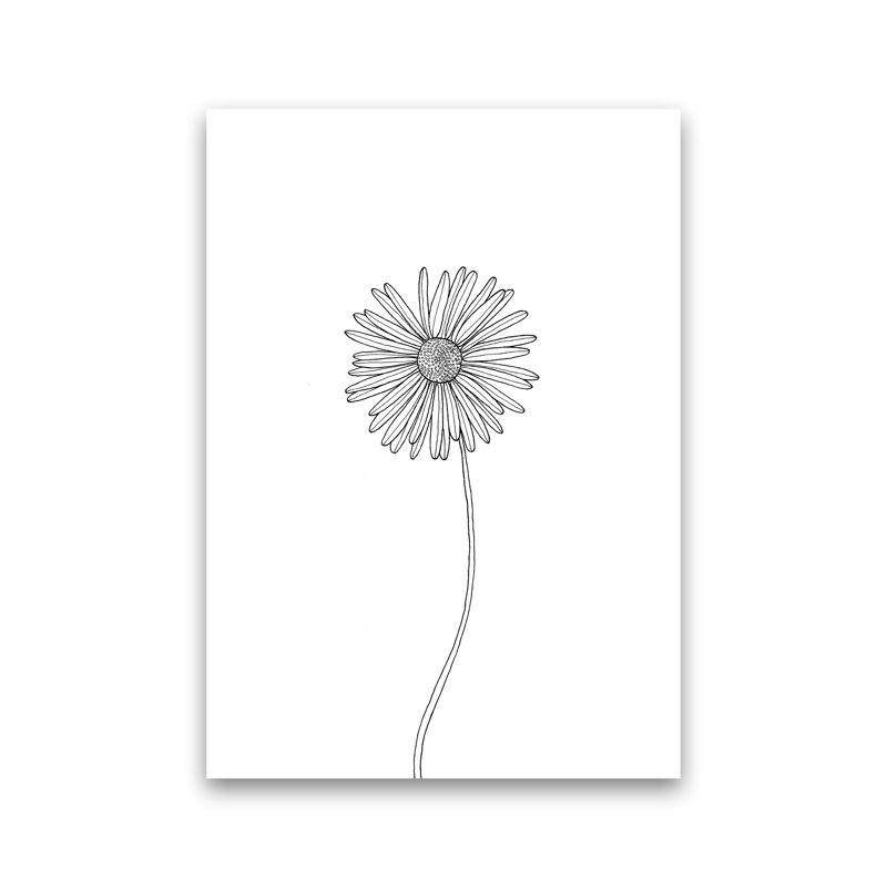Daisy by Carissa Tanton - Print, Unframed, 84cm H x 60cm W x 1cm D