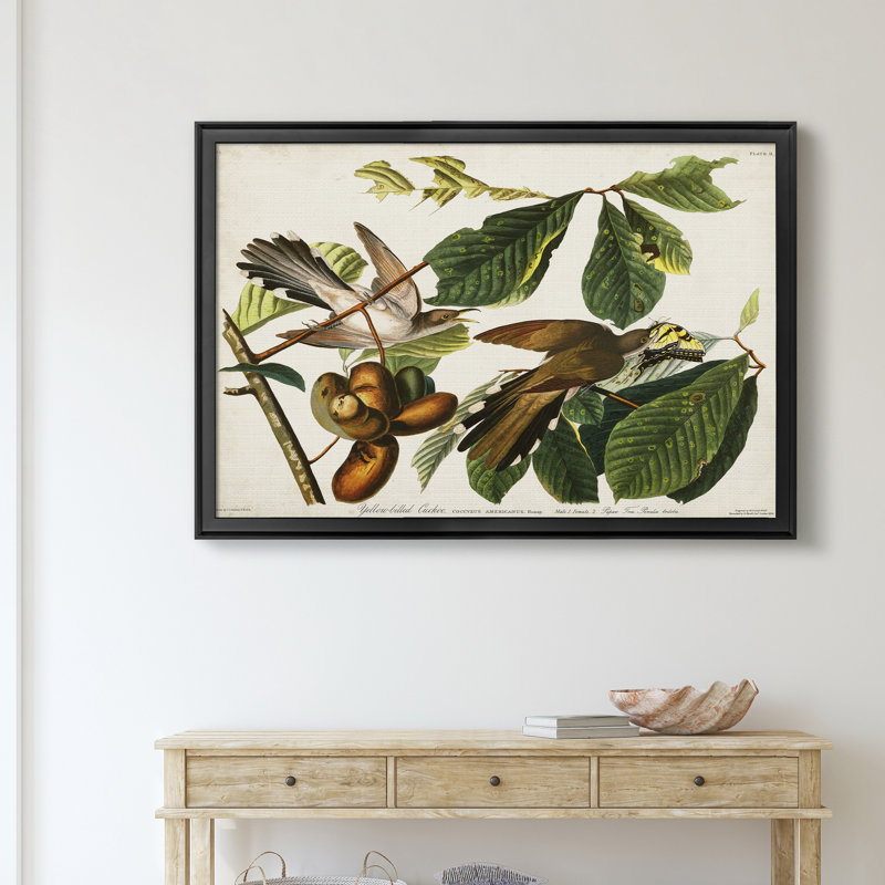 «Pl 2 Yellow Billing Cuckoo» - Cadre photo, impression sur toile, H 26,5 po x l 36,5 po x P 1,5 po, Noir