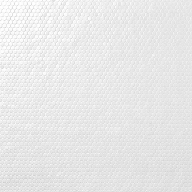 Eden 1" Rimmed Hexagon Polished Porcelain Mosaic Tile, Matte White