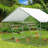 Ficarra Roosting Bars / Frames-1786268494