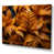Wrapped Canvas