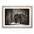 Oak Framed selected