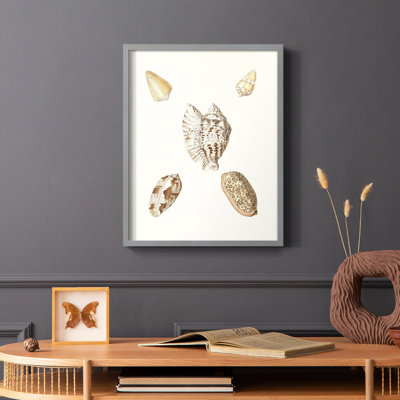 Pastel Knorr Shells VI, reproduction encadrée - bois massif