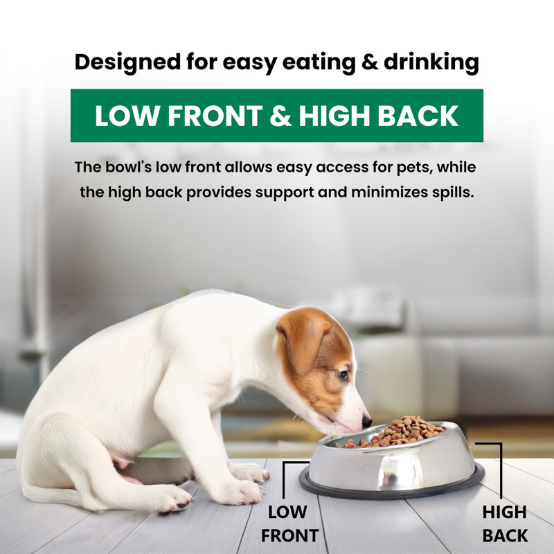 Bol simple pour animaux Easy Back, 16 oz / 2 tasses