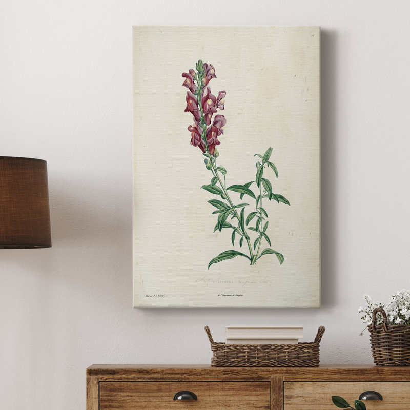 «Traditional Botanical I», impression sur toile tendue, H 27 po x l 18 po x P 1 po