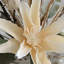 Anantara Grand Bouquet