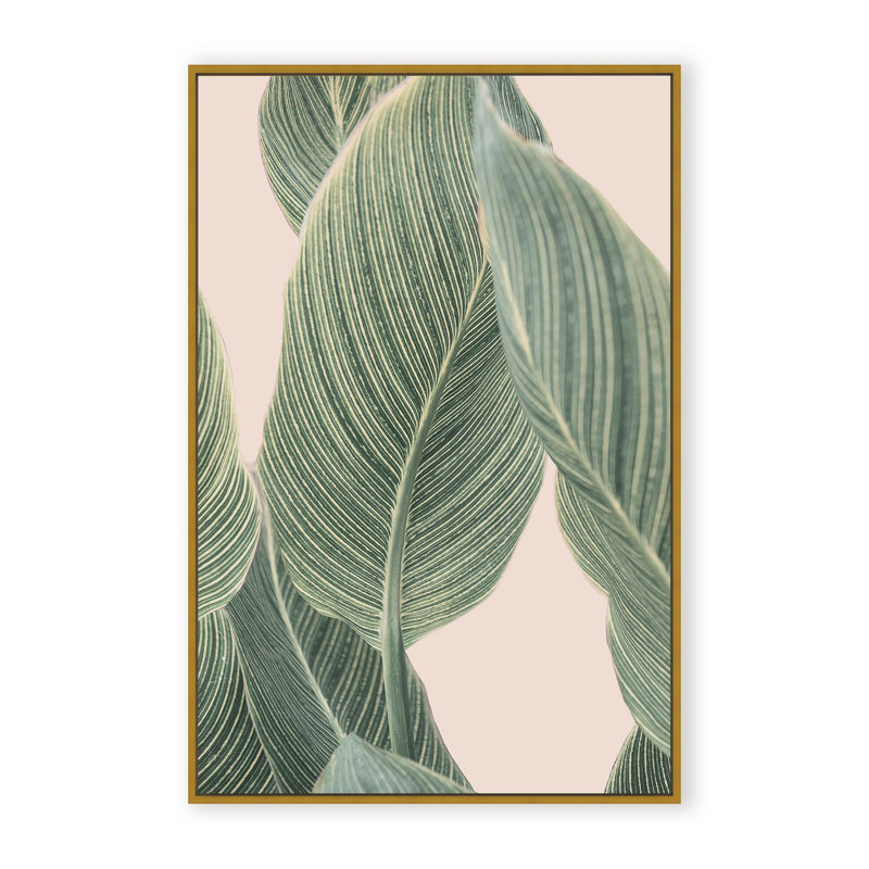 Coastal Retreat Calla Leaf by  - Picture Frame Graphic Art on Paper, 24" H x 16" W x 1.125" D, Framed Matted Print, Beige
