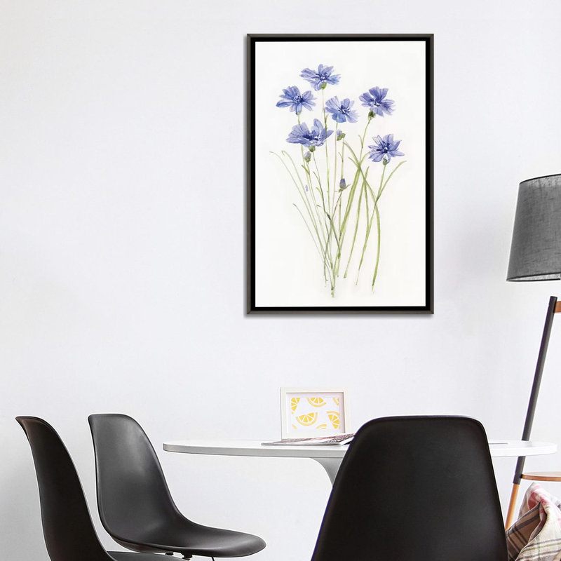 «Dicat Botanical Cornflower» par Sally Swatland - reproduction d'art, H 40 po x l 26 po x P 1,5 po, Pas de tapis