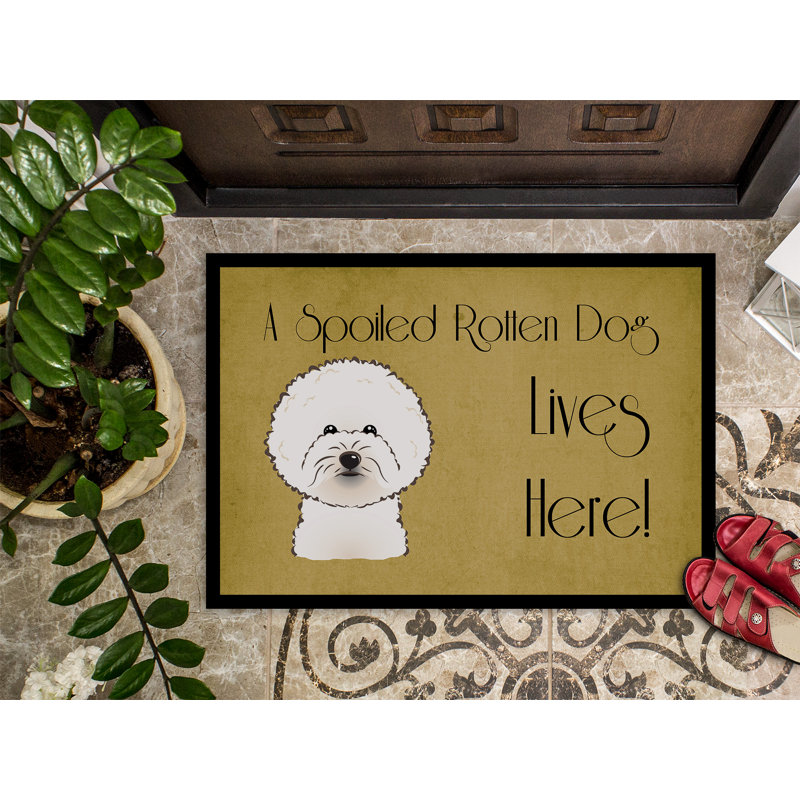 Tapis d'extérieur antidérapant Washingtonville Bichon Frise, Rectangle 1 pi 6 po x 2 pi 3 po