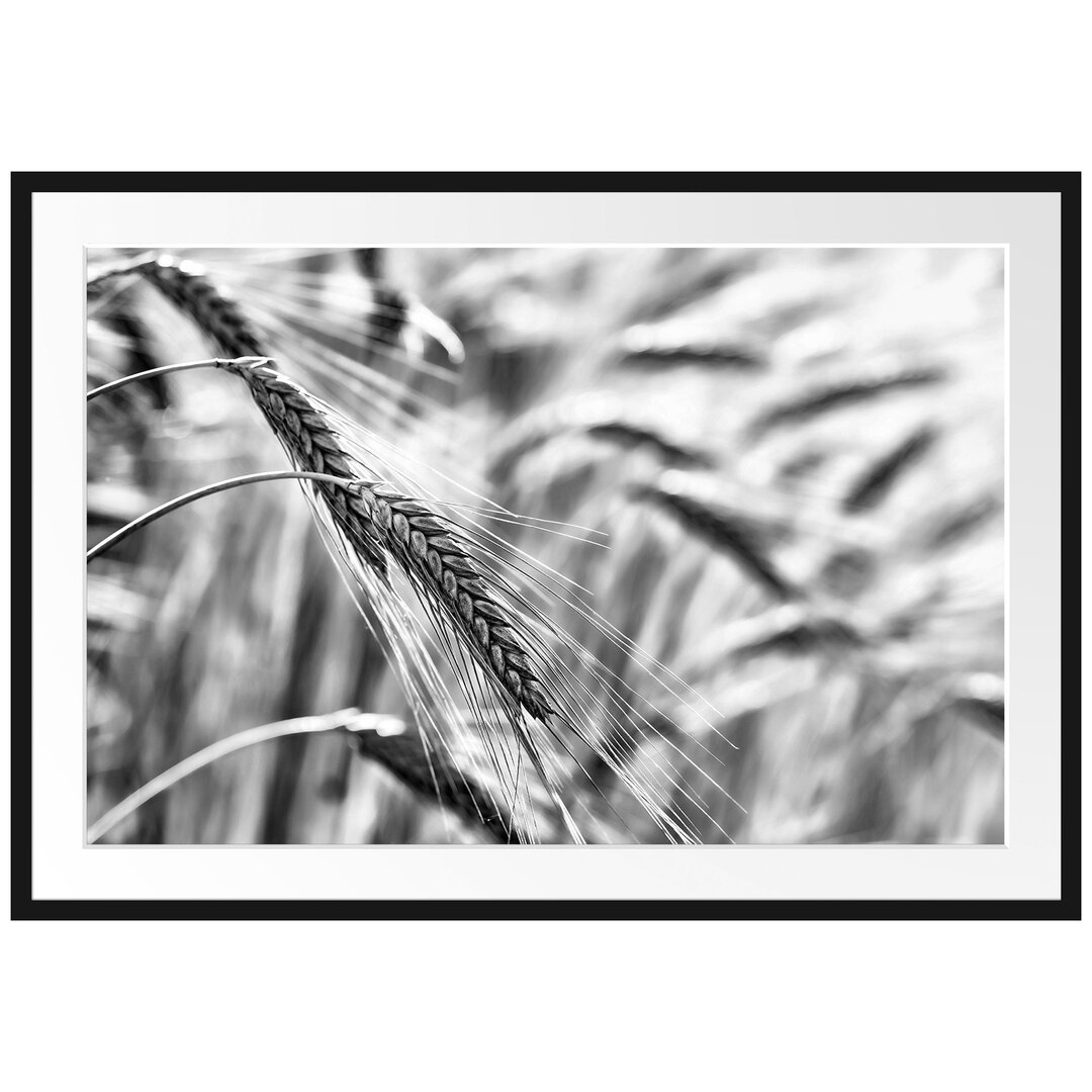 Gerahmtes Poster Weizen auf dem Feld