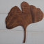 Panneau mural en bois sculpté à la main 12 po feuille de ginkgo - Art mural botanique inspiré de la nature, décoration rustique