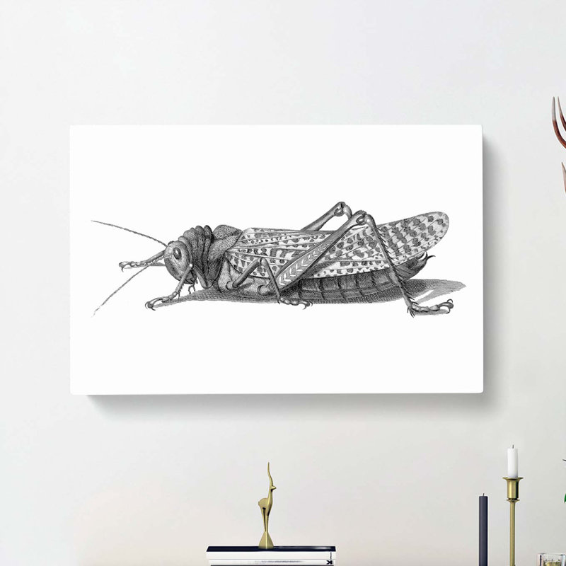 Cricket In Black And White by George Shaw - Wrapped Canvas Painting, 50cm H x 76cm W x 3cm D