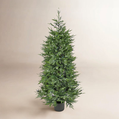 60" Pre-Lit Cypress Tree in Pot
