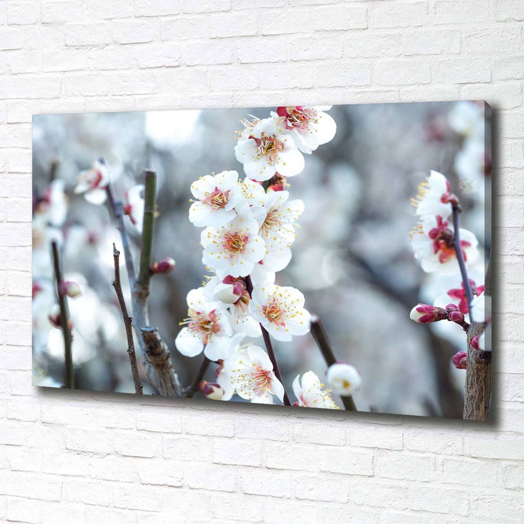 Cherry Blossoms - Wrapped Canvas Print
